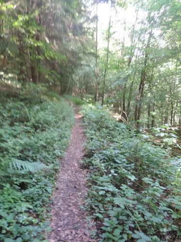 Gite de Montager Saint Andr� de Chalencon