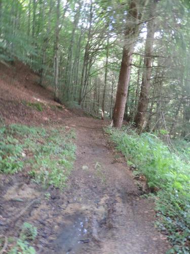 Gite de Montager Saint Andr� de Chalencon