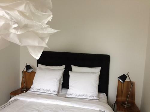 Apartamento 5min Du Zoo de Beauval
