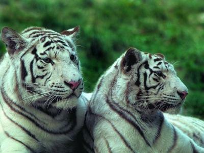 Apartamento Logis De La Pr�v�t�