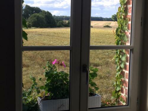 Bed & Breakfast Chambres D'h�tes - La For�t Des Arts
