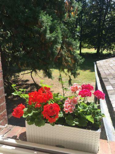 Bed & Breakfast Chambres D'h�tes - La For�t Des Arts