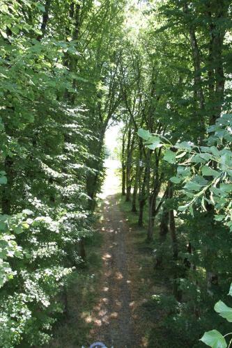 Bed & Breakfast Chambres D'h�tes - La For�t Des Arts
