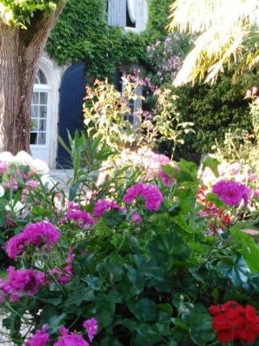 Bed & Breakfast Les Hortensias - Chambres D'h�tes