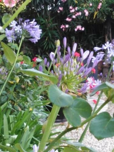 Bed & Breakfast Les Hortensias - Chambres D'h�tes