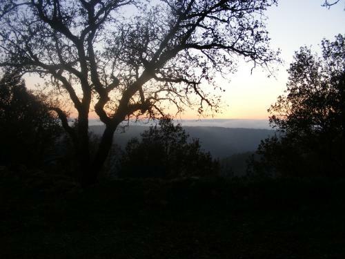 Bed & Breakfast Lou Papagai