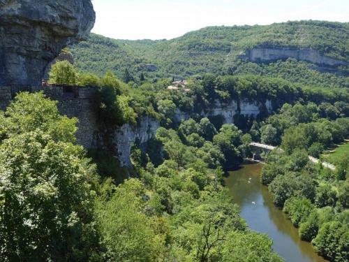 Les Campsis