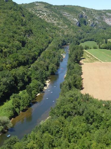 Les Campsis