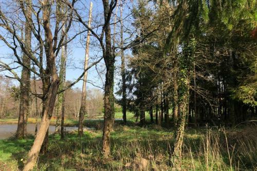 Villa Sur 3 Hectares, Piscine Et Etangs Priv�s
