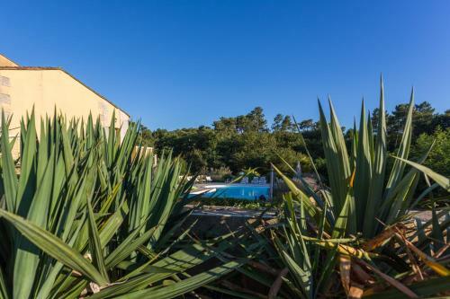 Bed & Breakfast La Marviniere