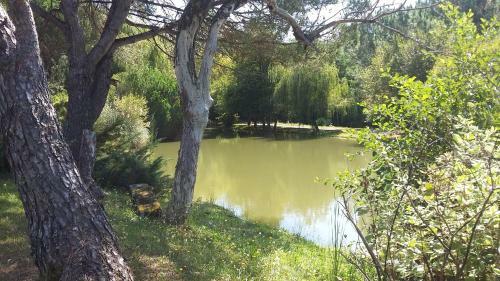 Bed & Breakfast La Marviniere