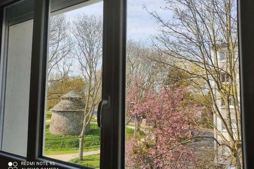 Apartamento Appartement 2 Chambres Parking Gratuit