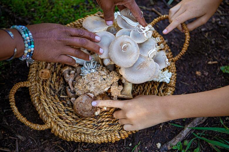 Hotel Vail Marriott Mountain Resort