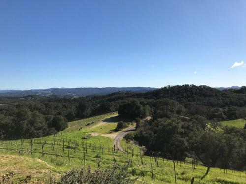 Dunning Vineyards Guest Villa