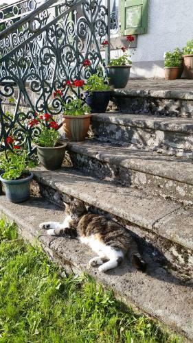 Bed & Breakfast La Maison Normande