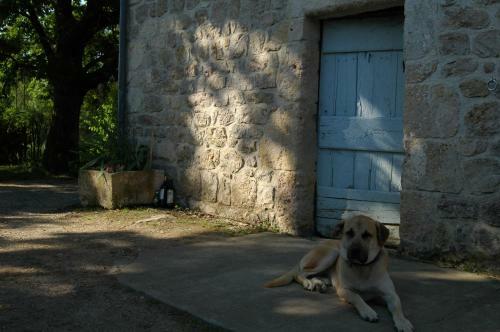 Gite Le Lendou