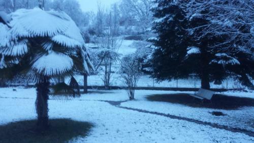 Bed & Breakfast Le Curieux