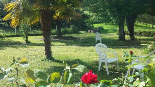 Bed & Breakfast Le Curieux