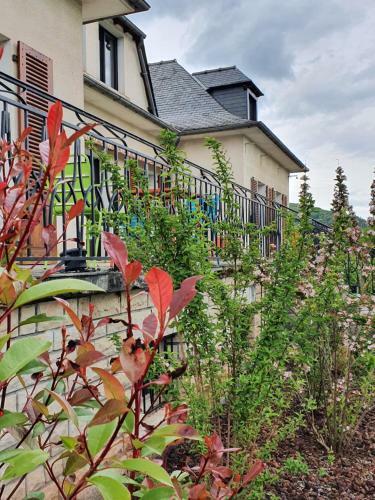 Bed & Breakfast Le Curieux