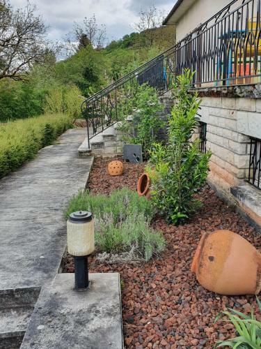 Bed & Breakfast Le Curieux