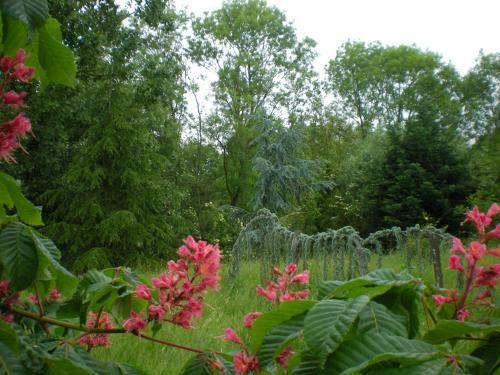 G�te Le Moulin de La Chaussee