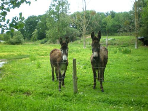 Bed & Breakfast Chambres D'h�tes Du Moulin de La Chaussee