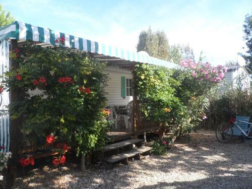 Camping Cap Soleil