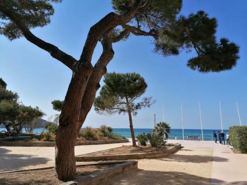 Apartamento Lou Farniente