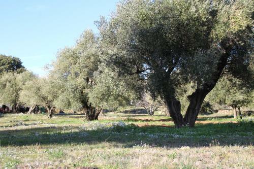 Apartamento La Cebette