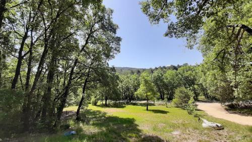 Le Cabanon
