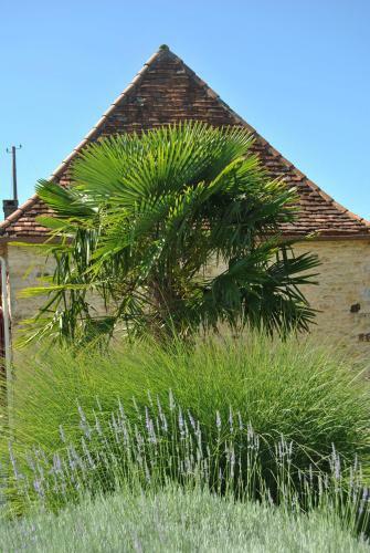 Le Domaine Des Fargues