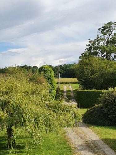 Bed & Breakfast Au Petit Paradis