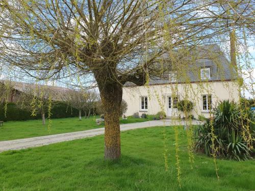 Bed & Breakfast Au Petit Paradis