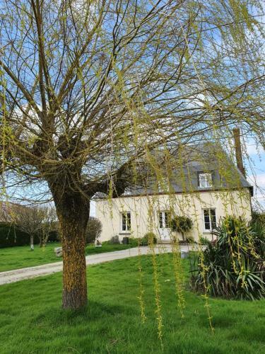 Bed & Breakfast Au Petit Paradis