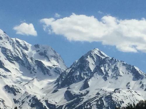Le Petit Saint Bernard