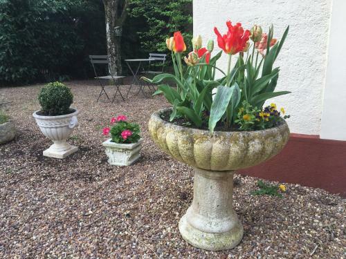 Bed & Breakfast Logis Du Petit Dodo