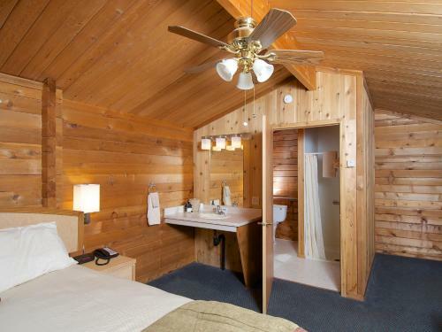 Lodge Denali Cabins