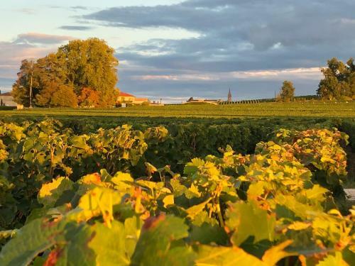 Bed & Breakfast La Gomerie Chambres D'hotes