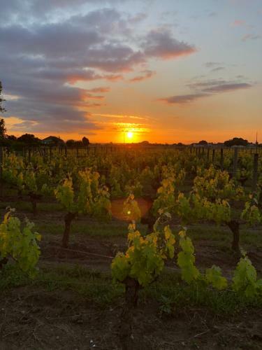 Bed & Breakfast La Gomerie Chambres D'hotes
