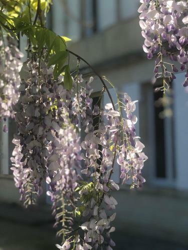 Bed & Breakfast La Gomerie Chambres D'hotes