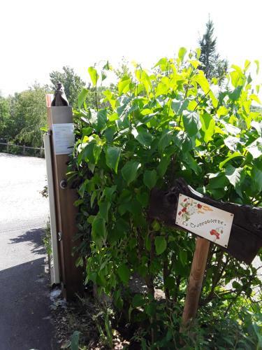 Apartamento La Parenth�se - G�te de La Sittelle