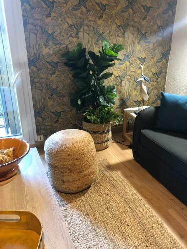Apartamento Studio Bel Air