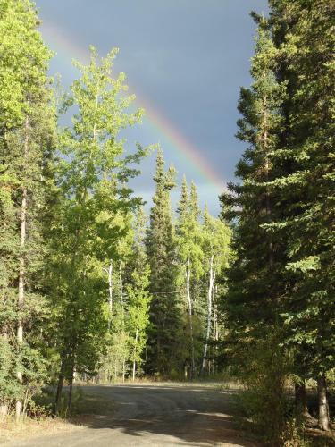 Antler's Rest Bed And Breakfast