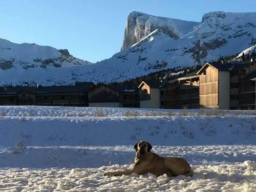 Apartamento Les Chalets de Superd, Apt 7-9 Personnes