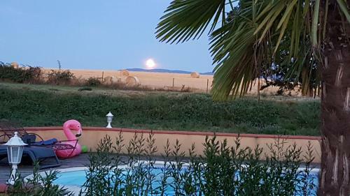 Gite Et Piscine Tarn Domaine Des Vignes