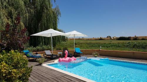 Gite Et Piscine Tarn Domaine Des Vignes