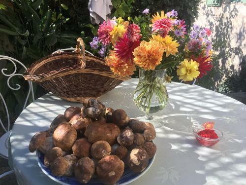 Bed & Breakfast Les Asphod�les