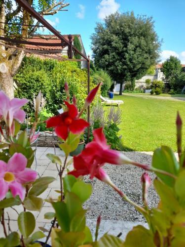 Bed & Breakfast Le Jardin Des Anges