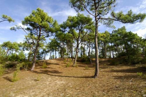 Apartamento Appartement Vue Mer Sion-sur-l'oc�an