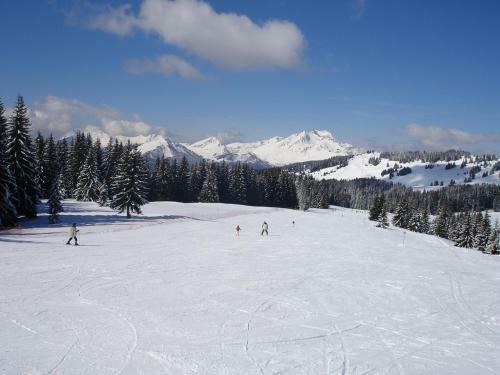 Chalet Etoile